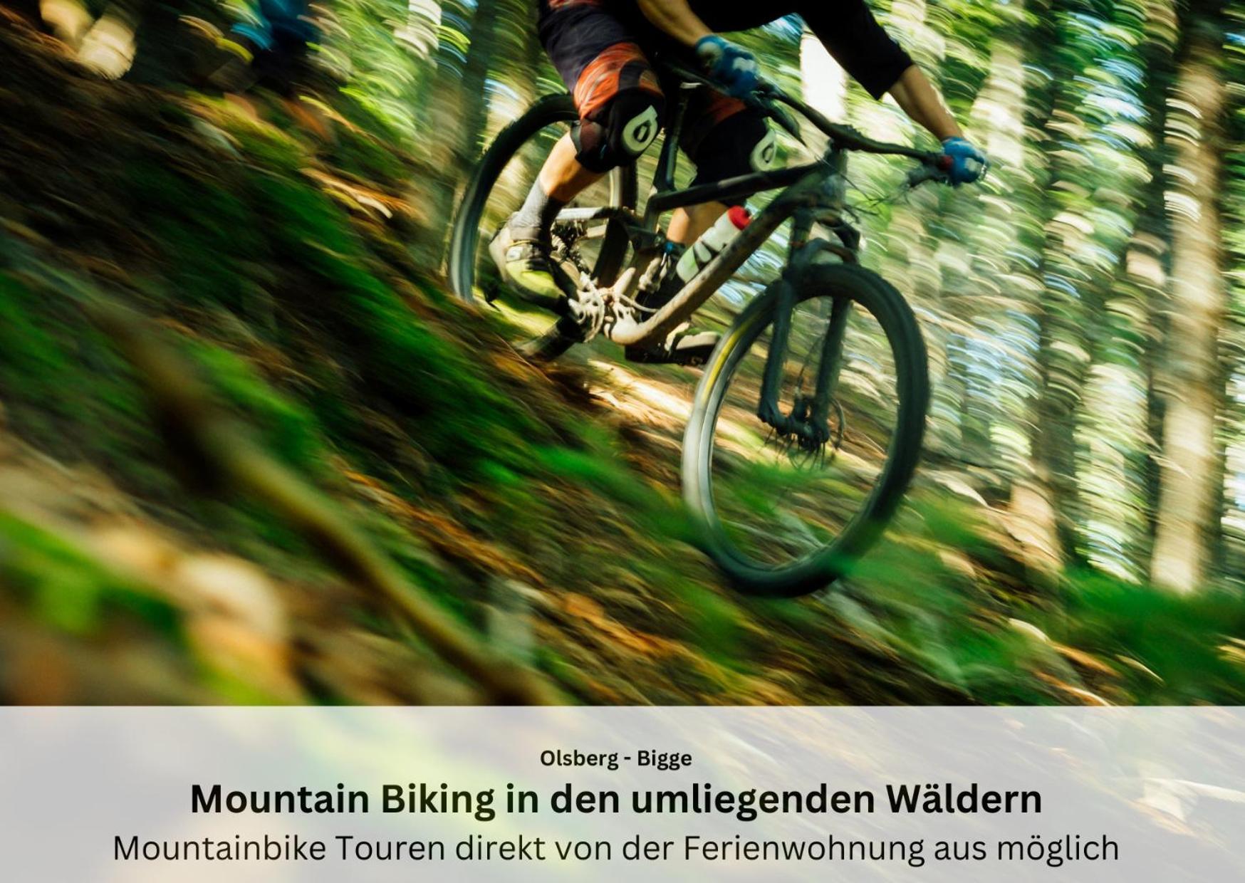Ferienwohnungen Sauerland Und Olsberg Buitenkant foto