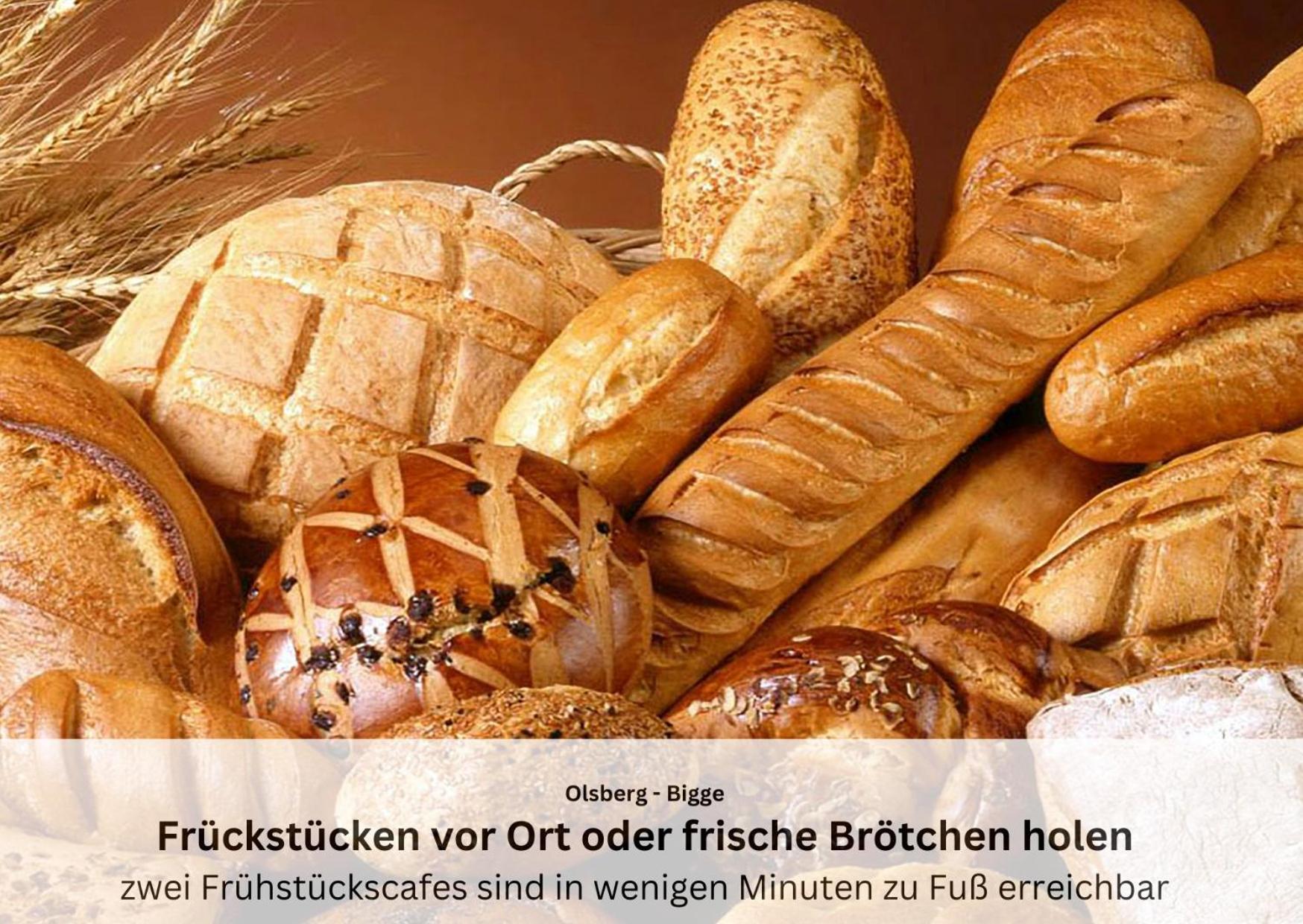 Ferienwohnungen Sauerland Und Olsberg Buitenkant foto