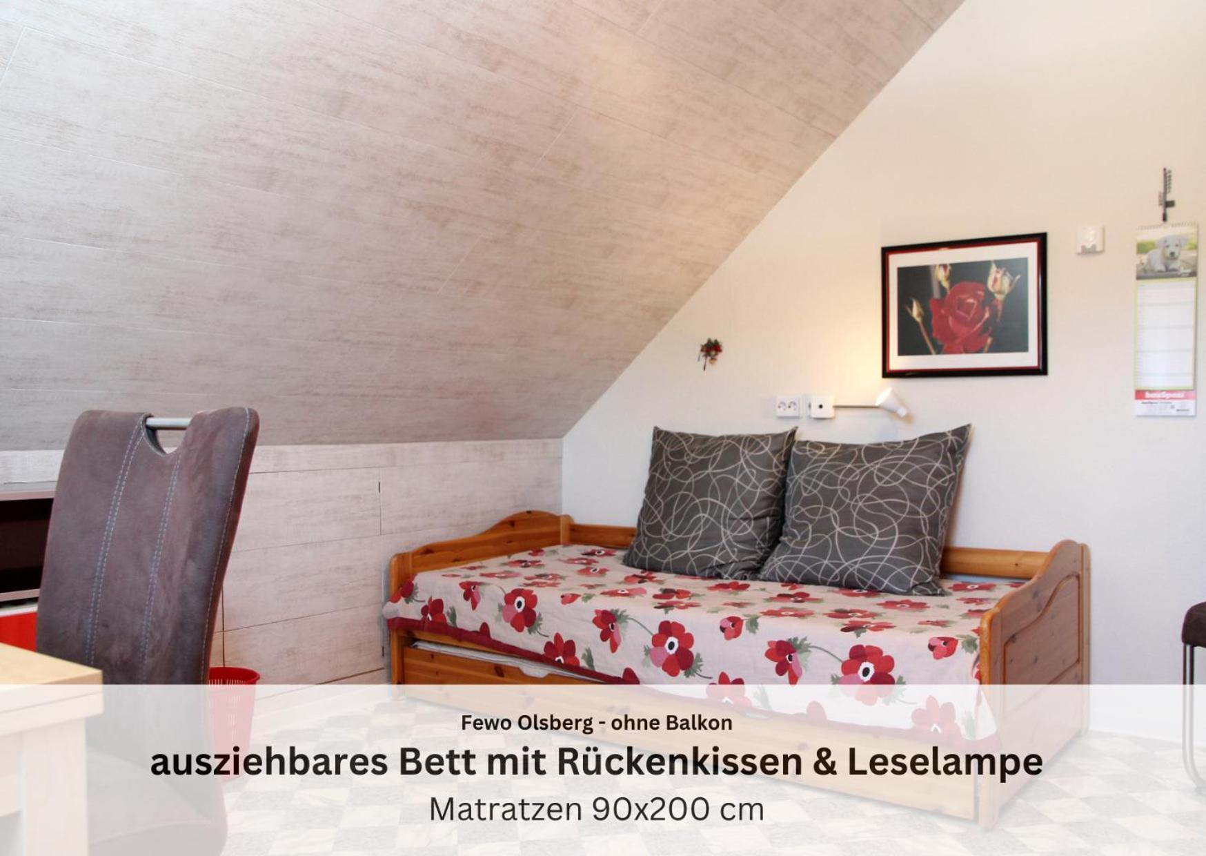 Ferienwohnungen Sauerland Und Olsberg Buitenkant foto