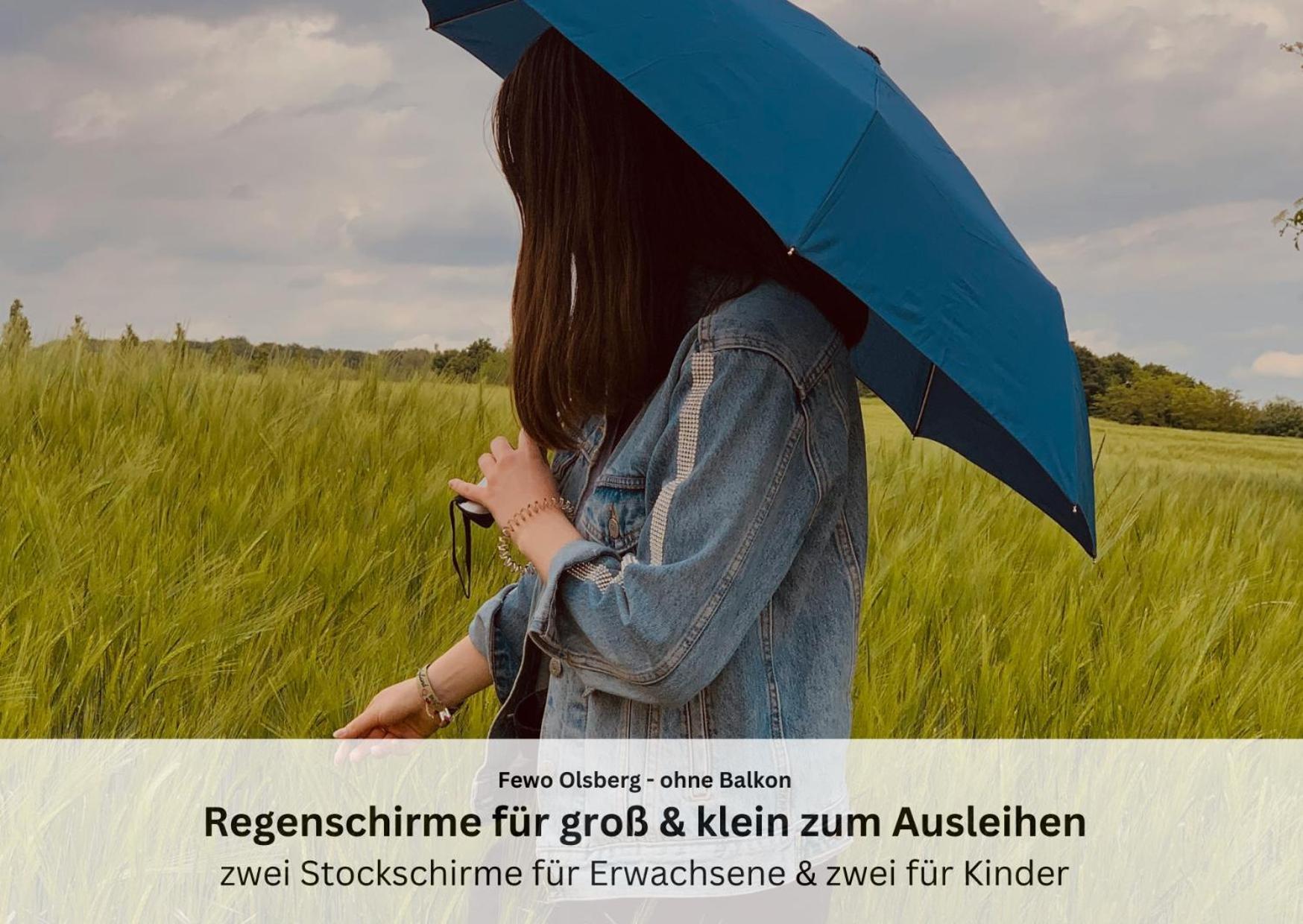 Ferienwohnungen Sauerland Und Olsberg Buitenkant foto