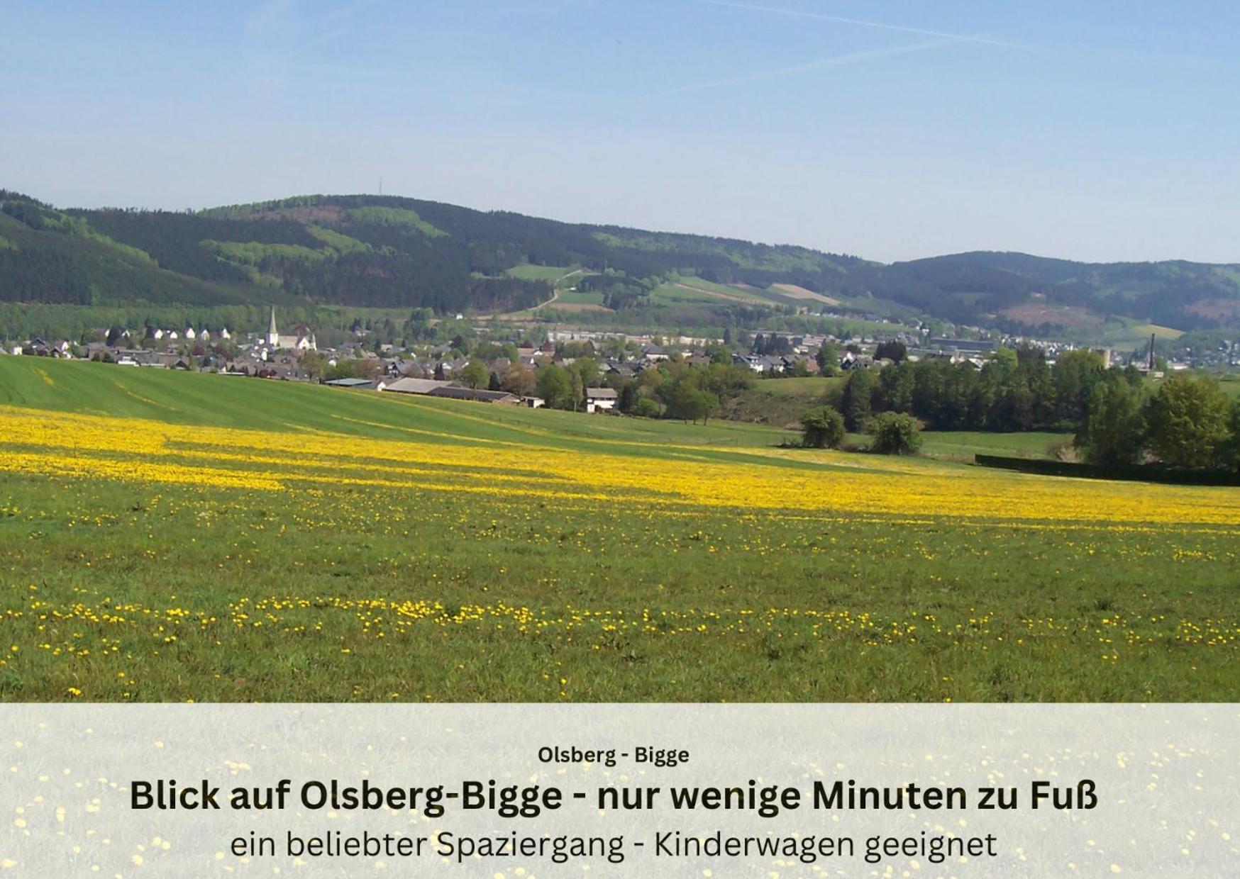 Ferienwohnungen Sauerland Und Olsberg Buitenkant foto