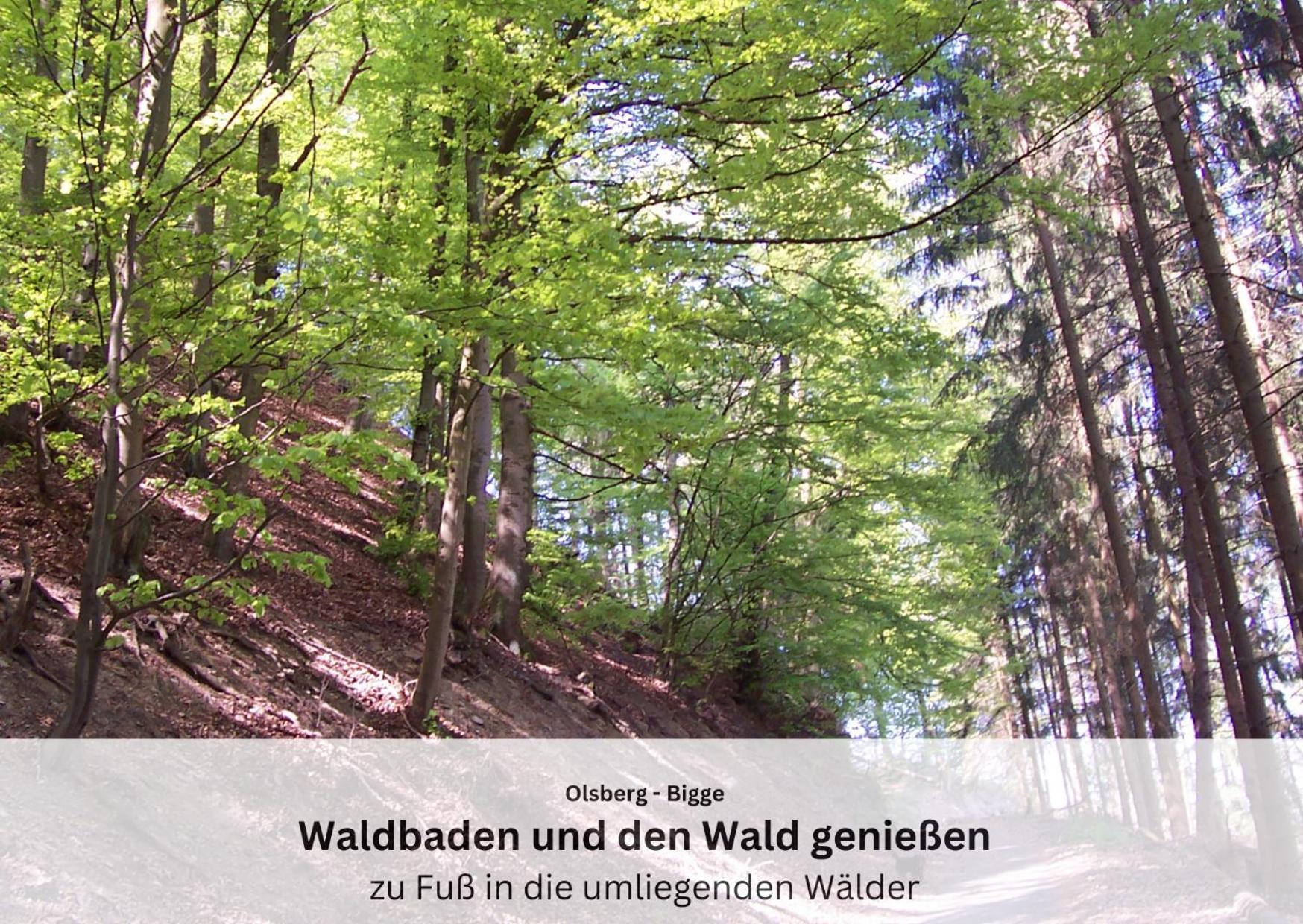 Ferienwohnungen Sauerland Und Olsberg Buitenkant foto
