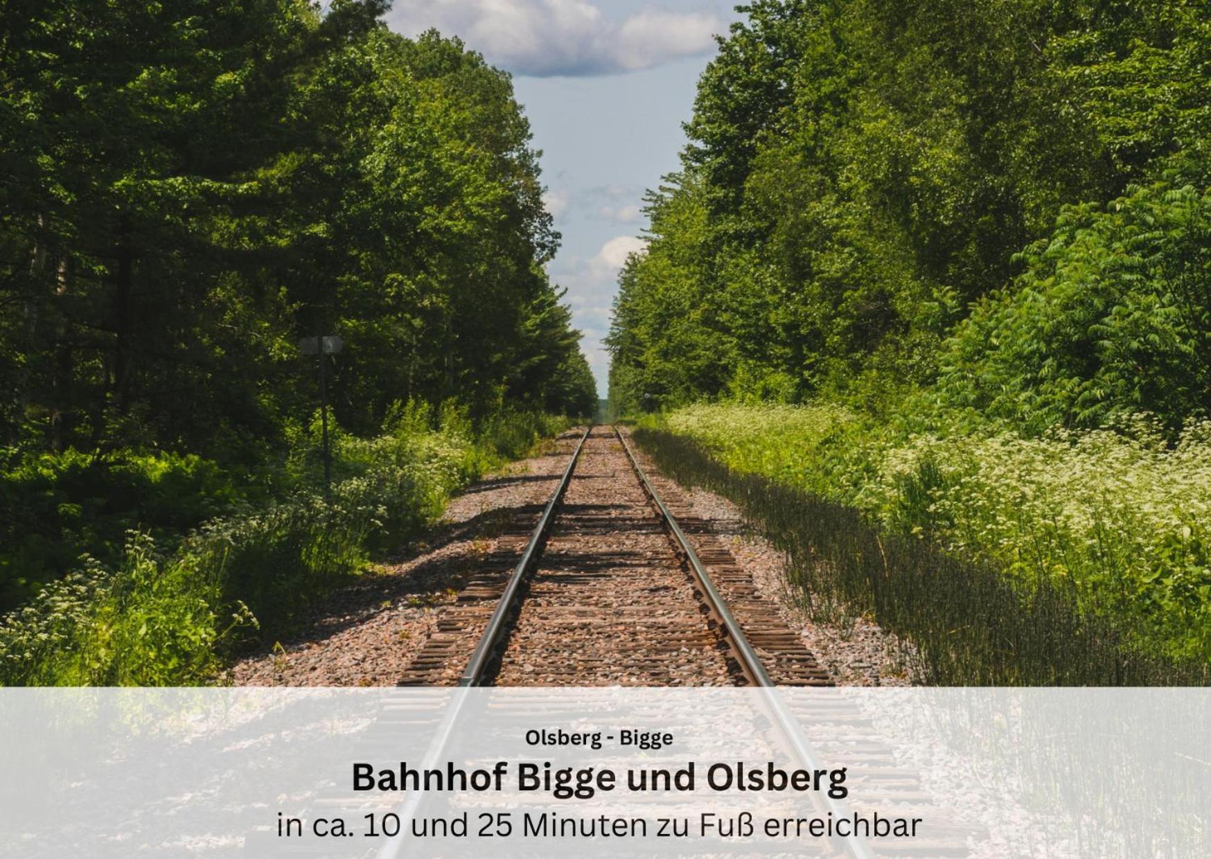 Ferienwohnungen Sauerland Und Olsberg Buitenkant foto